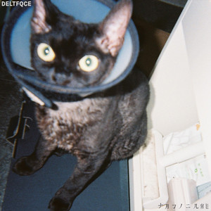 大鸡巴久久久久
